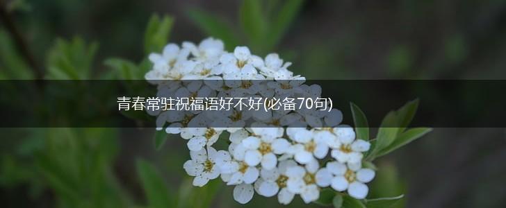 青春常驻祝福语好不好(必备70句),第1张