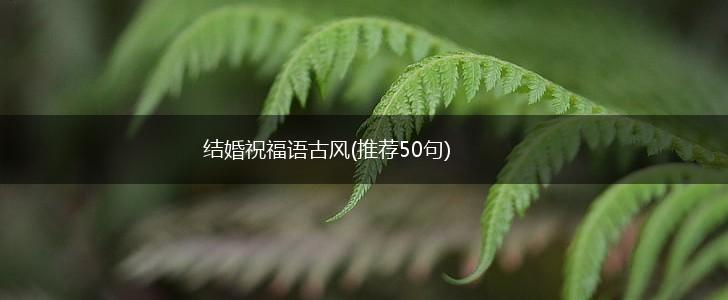 结婚祝福语古风(推荐50句),第1张 结婚祝福语古风(推荐50句),第1张