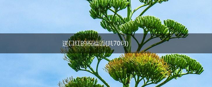送口红的祝福语(共70句),第1张 送口红的祝福语(共70句),第1张