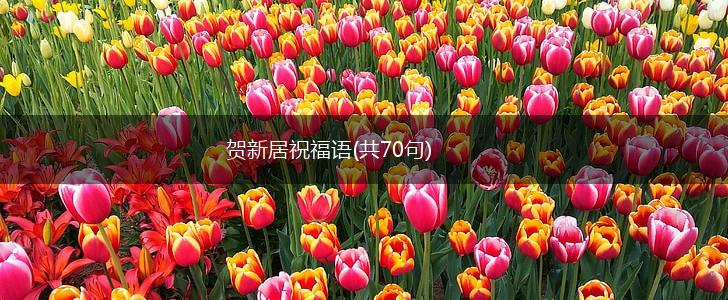 贺新居祝福语(共70句),第1张