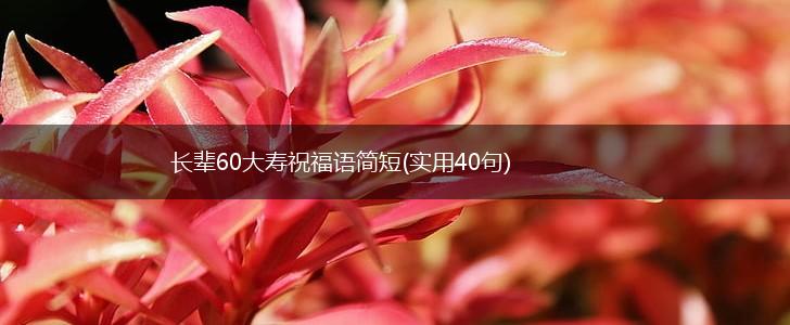 长辈60大寿祝福语简短(实用40句),第1张