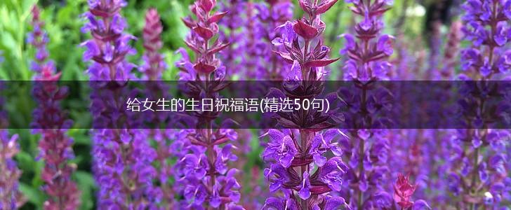 给女生的生日祝福语(精选50句),第1张