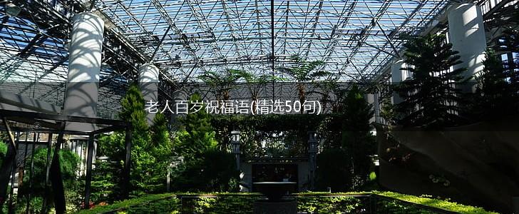 老人百岁祝福语(精选50句),第1张 老人百岁祝福语(精选50句),第1张