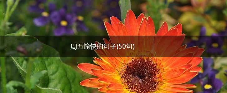 周五愉快的句子(50句),第1张
