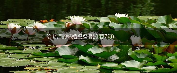 给老师的结婚祝福语(推荐7句),第1张 给老师的结婚祝福语(推荐7句),第1张