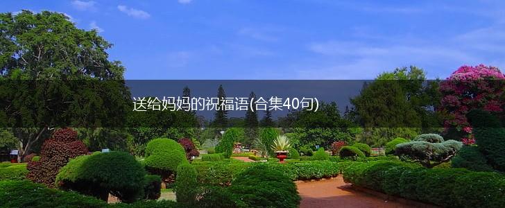 送给妈妈的祝福语(合集40句),第1张 送给妈妈的祝福语(合集40句),第1张
