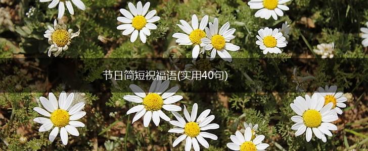 节日简短祝福语(实用40句),第1张