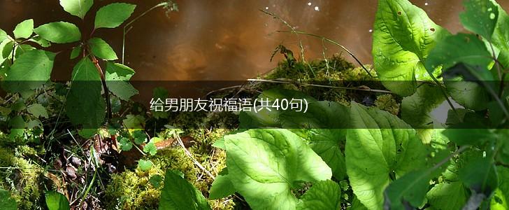 给男朋友祝福语(共40句),第1张