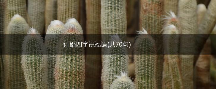 订婚四字祝福语(共70句),第1张