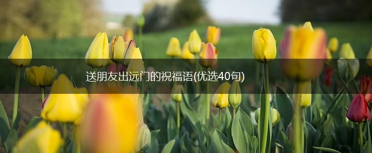 送朋友出远门的祝福语(优选40句),第1张 送朋友出远门的祝福语(优选40句),第1张