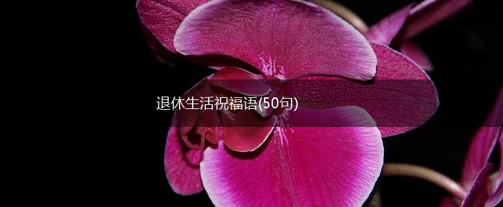 退休生活祝福语(50句),第1张