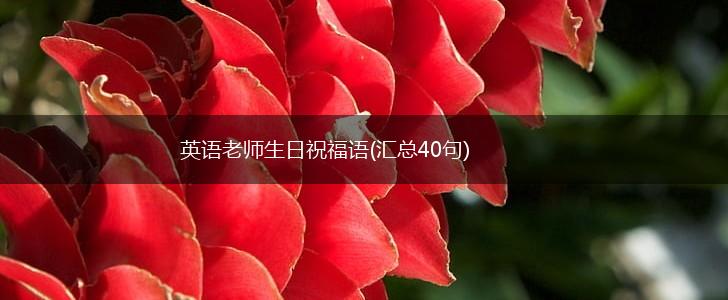 英语老师生日祝福语(汇总40句),第1张 英语老师生日祝福语(汇总40句),第1张