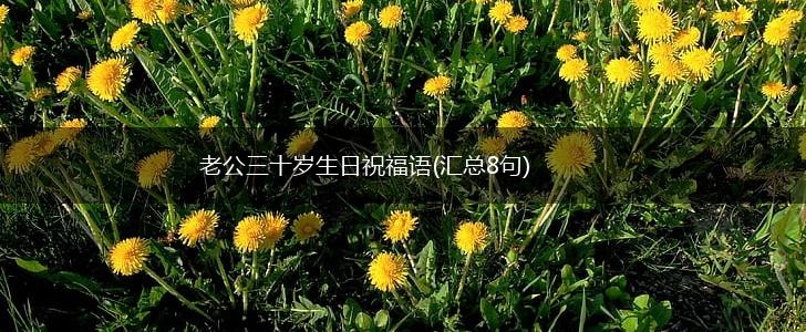 老公三十岁生日祝福语(汇总8句),第1张