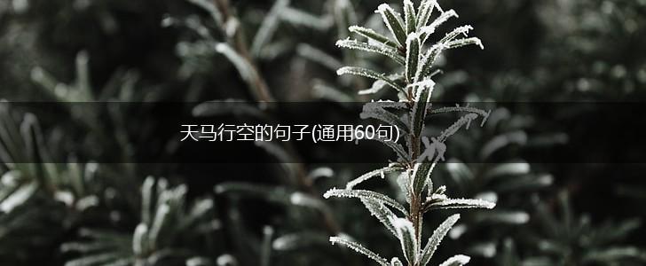 天马行空的句子(通用60句),第1张