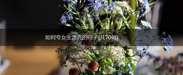 如何夸女生漂亮的句子(共70句),第1张