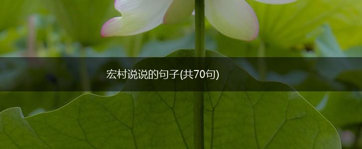 宏村说说的句子(共70句),第1张