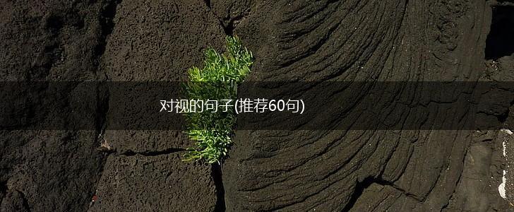 对视的句子(推荐60句),第1张