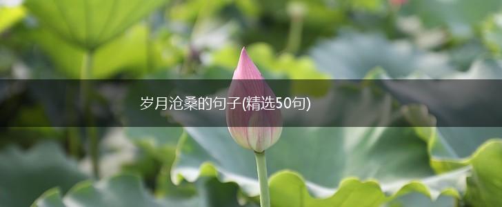 岁月沧桑的句子(精选50句),第1张
