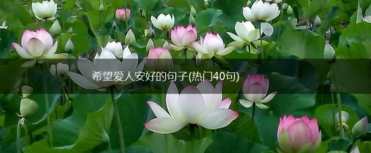 希望爱人安好的句子(热门40句),第1张 希望爱人安好的句子(热门40句),第1张