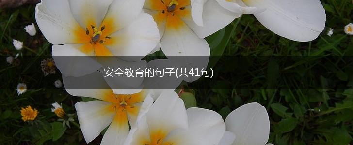 安全教育的句子(共41句),第1张
