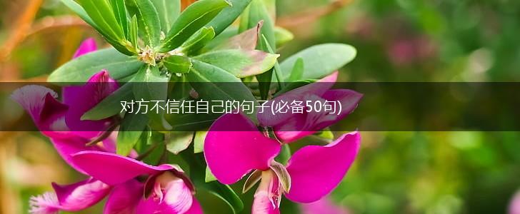 对方不信任自己的句子(必备50句),第1张