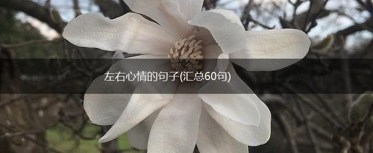 左右心情的句子(汇总60句),第1张