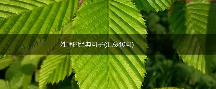 姓韩的经典句子(汇总40句),第1张