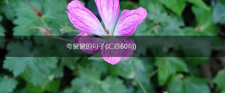 夸舅舅的句子(汇总60句),第1张 夸舅舅的句子(汇总60句),第1张