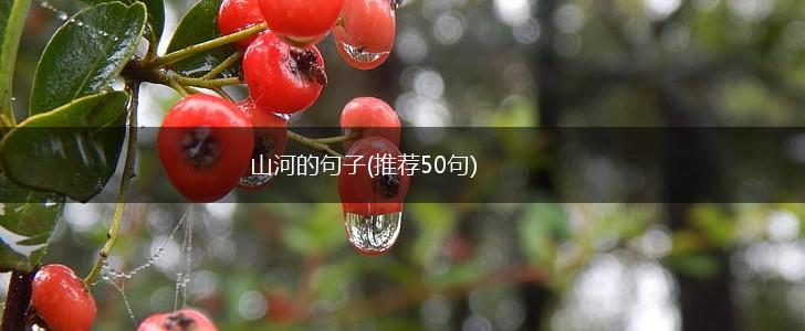 山河的句子(推荐50句),第1张