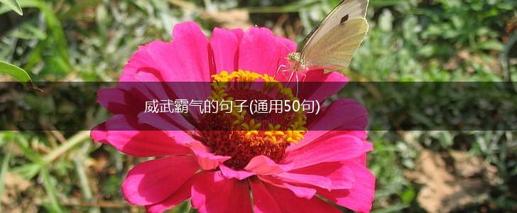 威武霸气的句子(通用50句),第1张