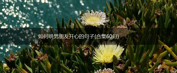 如何哄男朋友开心的句子(合集60句),第1张