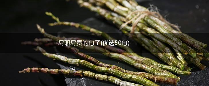 尽职尽责的句子(优选50句),第1张