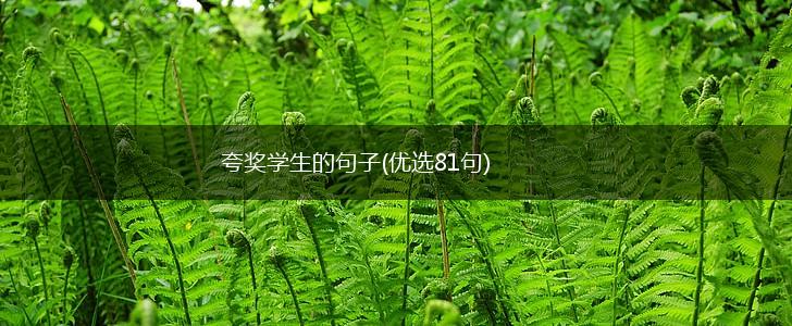 夸奖学生的句子(优选81句),第1张