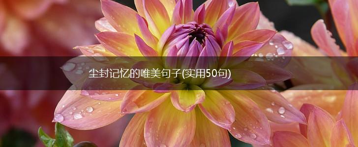尘封记忆的唯美句子(实用50句),第1张