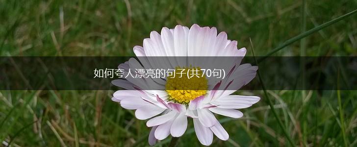 如何夸人漂亮的句子(共70句),第1张