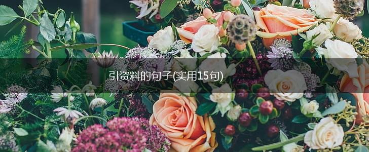 引资料的句子(实用15句),第1张