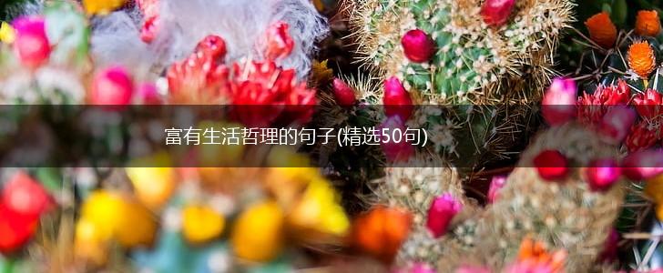 富有生活哲理的句子(精选50句),第1张