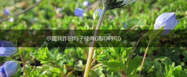 尔虞我诈的句子经典(通用69句),第1张
