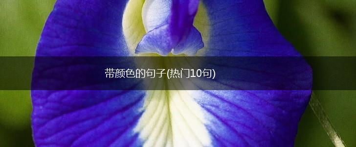 带颜色的句子(热门10句),第1张