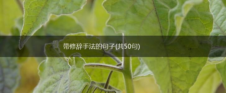 带修辞手法的句子(共50句),第1张