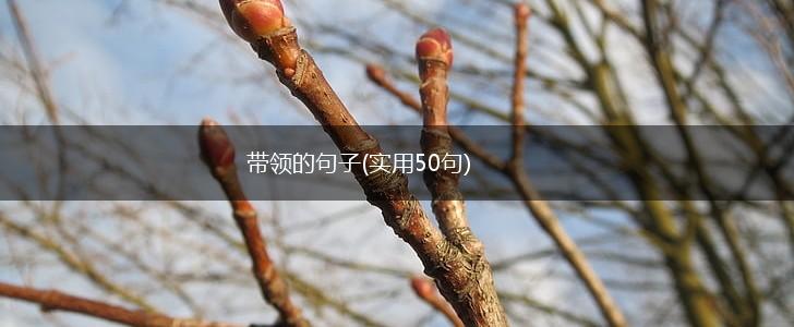 带领的句子(实用50句),第1张
