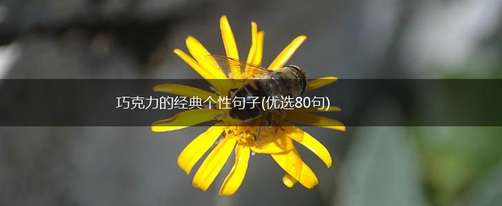 巧克力的经典个性句子(优选80句),第1张