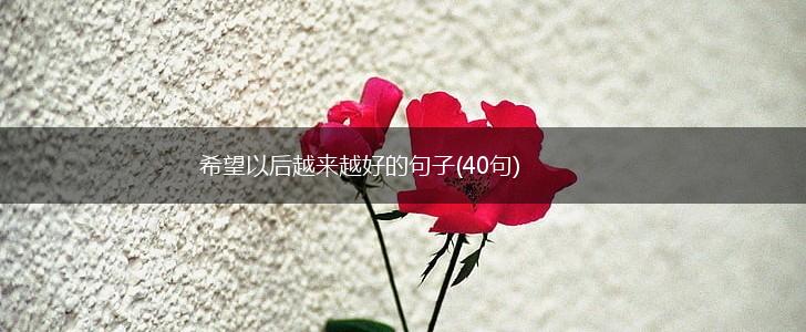希望以后越来越好的句子(40句),第1张