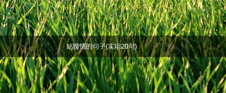 姑嫂情的句子(实用20句),第1张