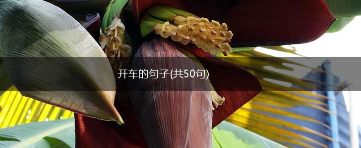 开车的句子(共50句),第1张