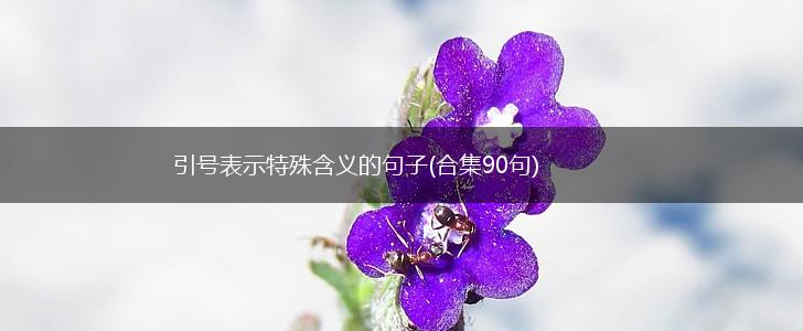 引号表示特殊含义的句子(合集90句),第1张