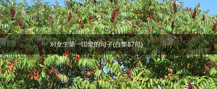 对女生第一印象的句子(合集87句),第1张