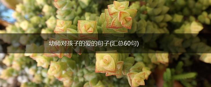 幼师对孩子的爱的句子(汇总60句),第1张