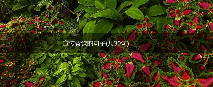 宣传餐饮的句子(共30句),第1张