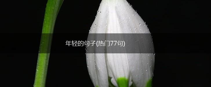 年轻的句子(热门77句),第1张